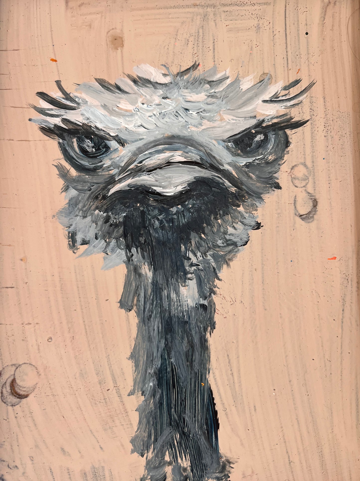 Grumpy oustrich